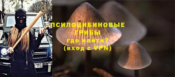 соль курить ск Горняк