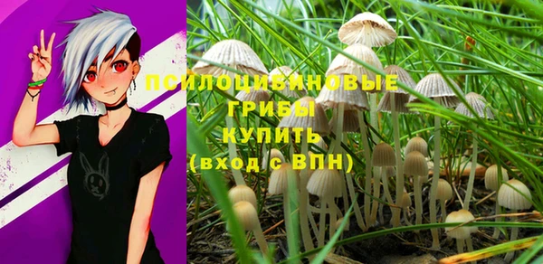 соль курить ск Горняк