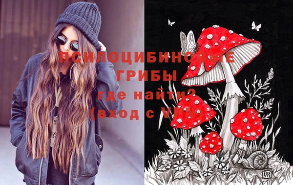 соль ск Горно-Алтайск