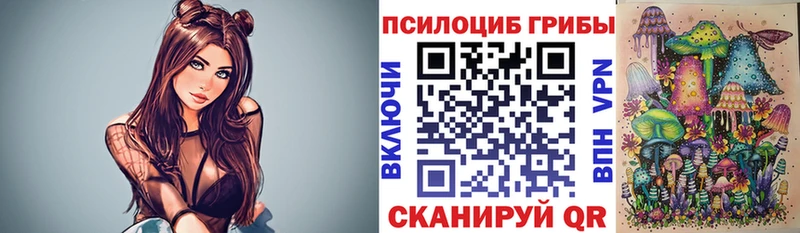 Купить  Норильск  Галлюциногенные грибы Psilocybine cubensis 