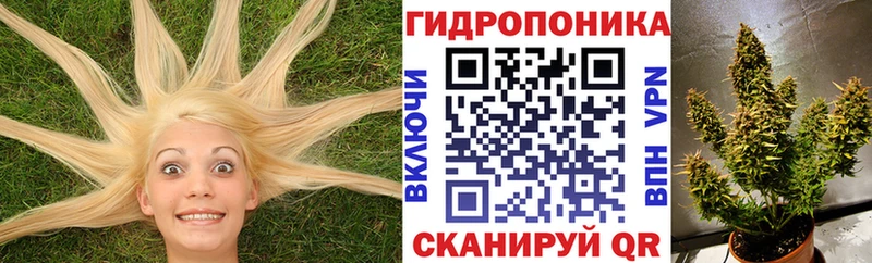 Купить где  Норильск  Бошки марихуана Bruce Banner 